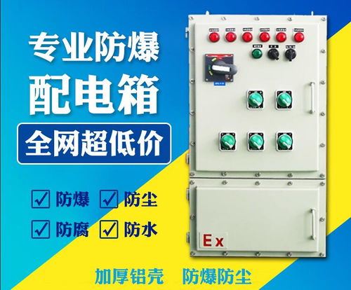 海南户外防爆照明动力配电箱 冲业绩、强控制，助力工业安全高效发展